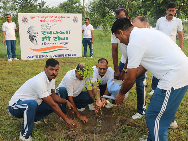 Trees Planted