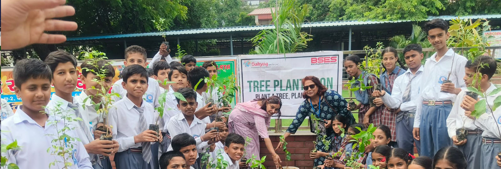 Tree Plantation Drive