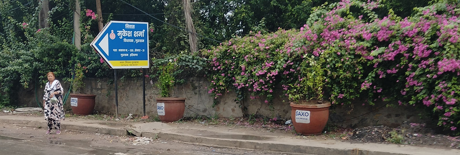 Park Renovation & Road Side Beautification