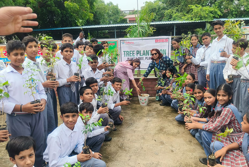 Tree Plantation Drive